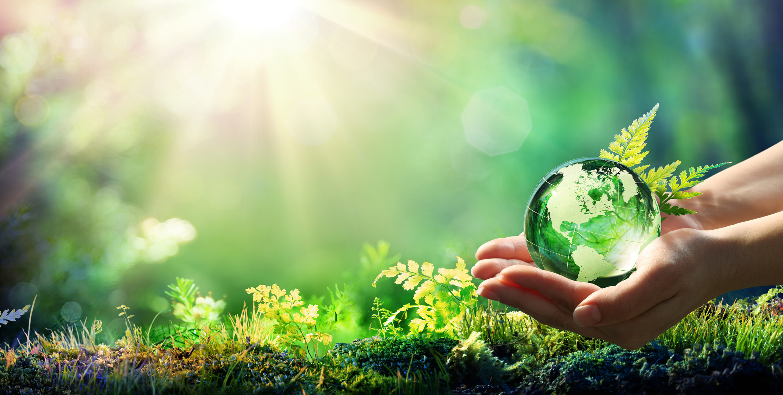 Hands Holding Globe Glass In Green Forest – Environment Concept