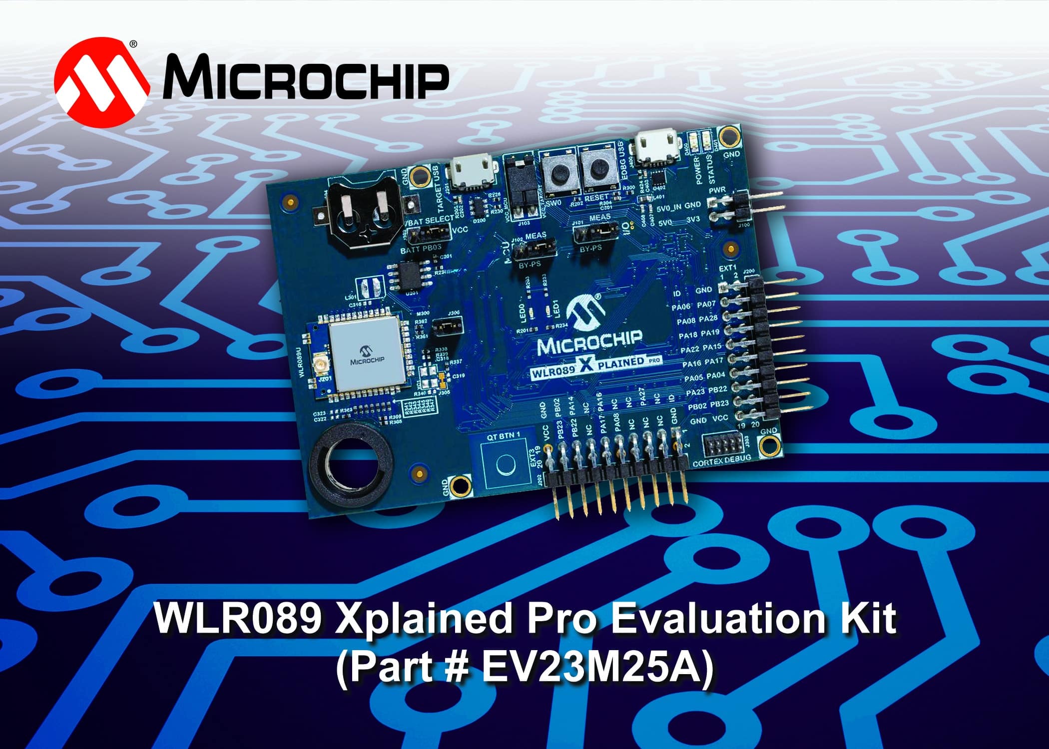 microchip competition