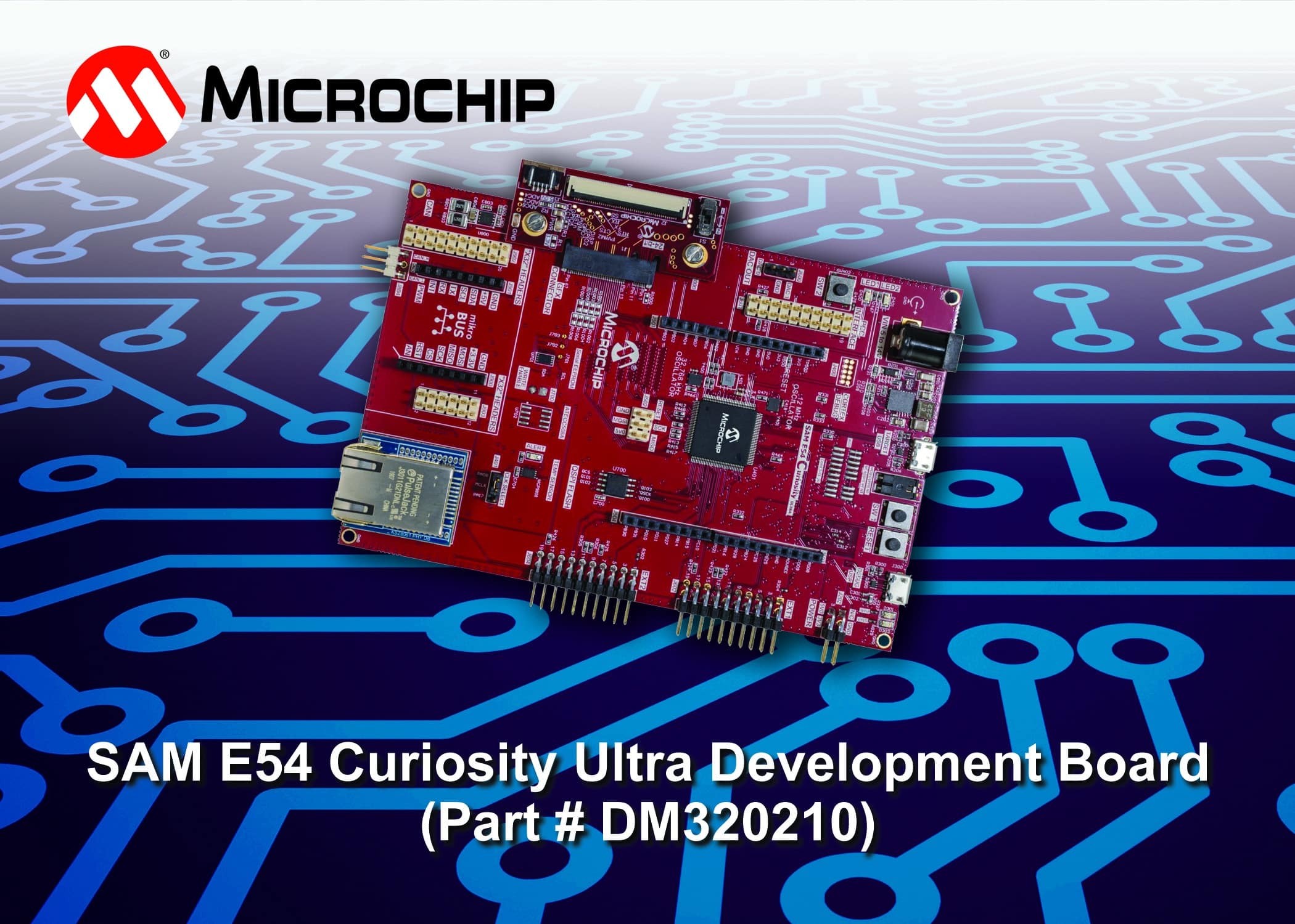 Mikrochip-Entwicklungsplatine