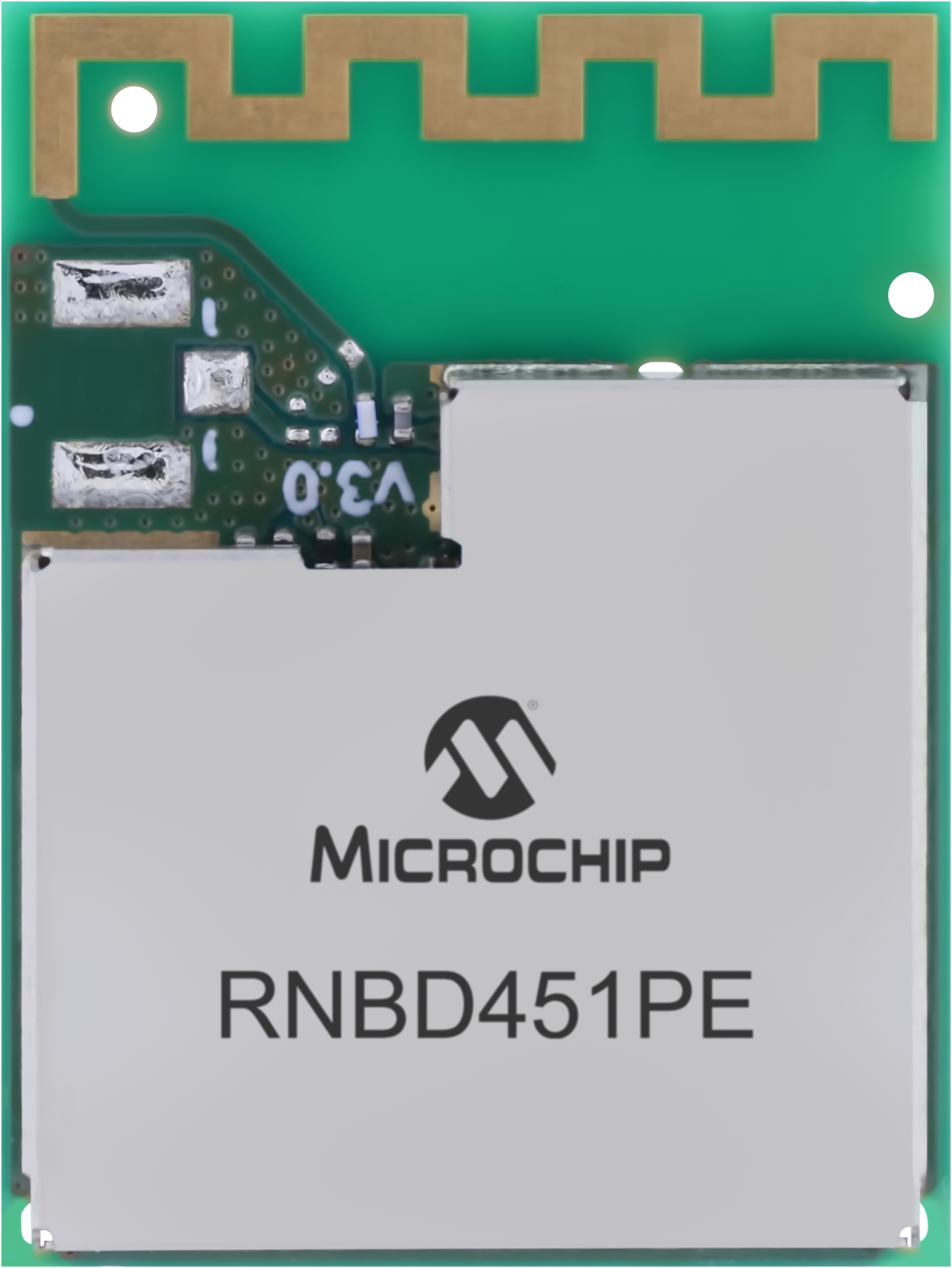 Módulo RNBD451