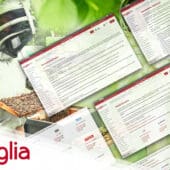 Anglia Components