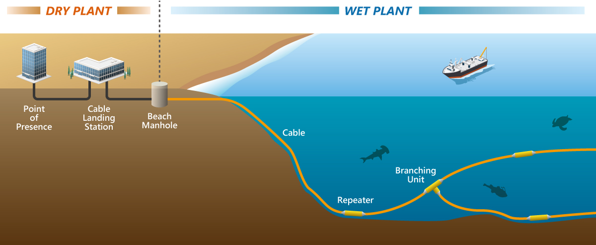 Sistemas de cables ópticos submarinos