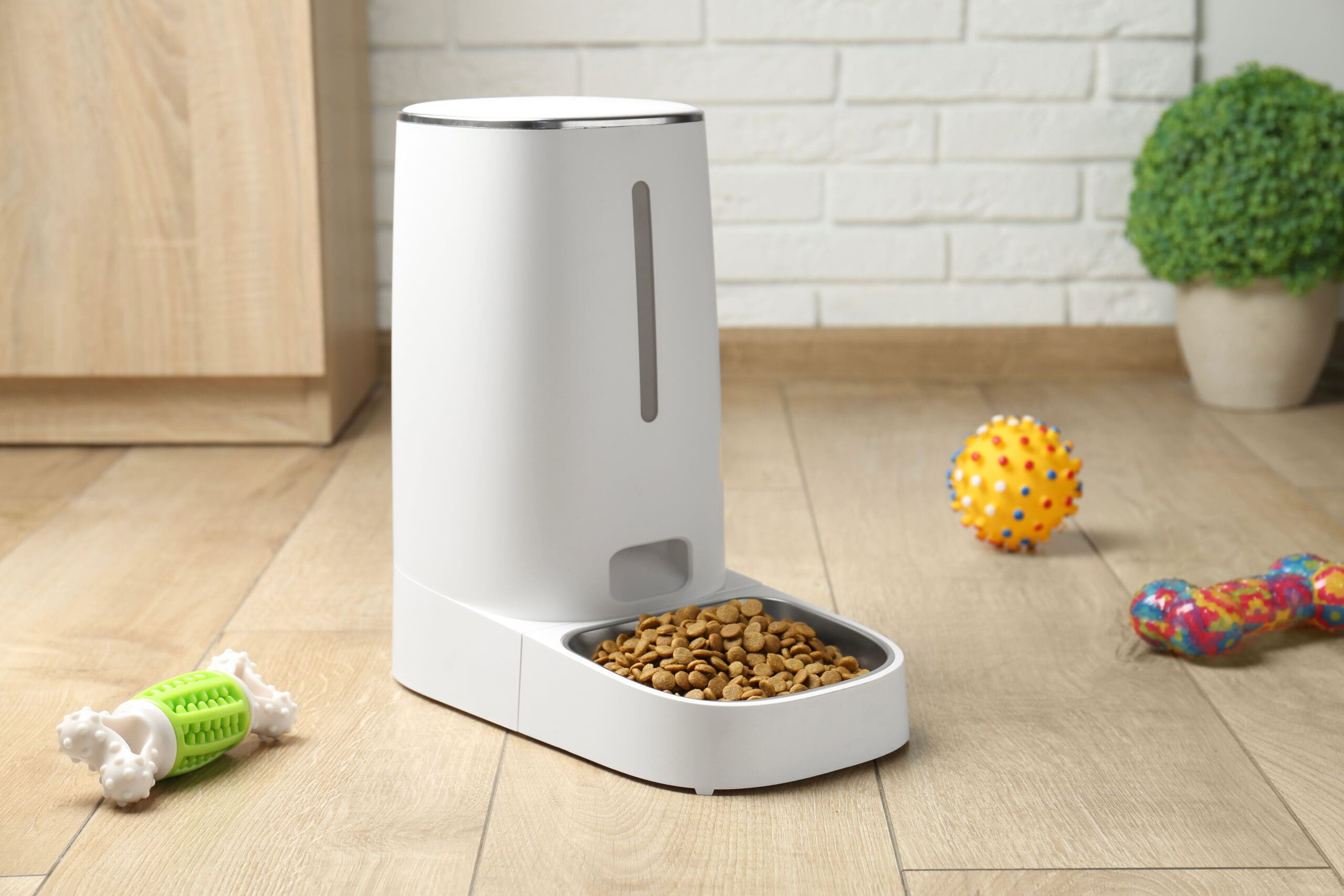 Comederos Automáticos