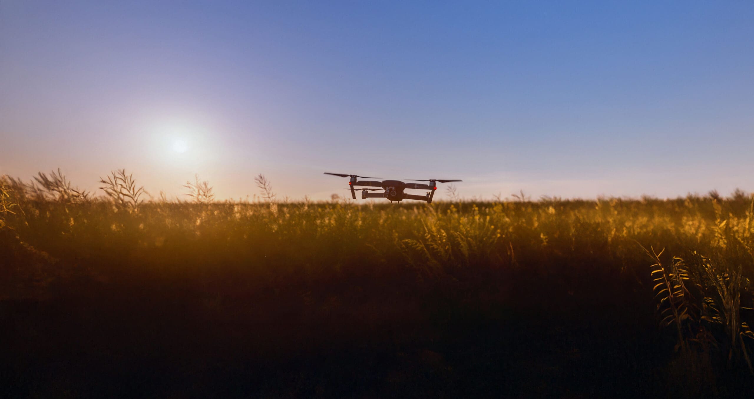 El conocimiento y la experiencia agrícola tradicional