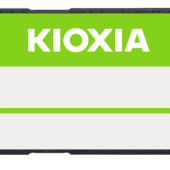 KIOXIA XG10